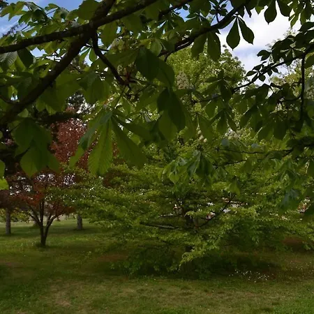 La Quiete 3* Άλμπα