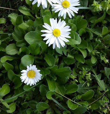 La Quiete Aparthotel